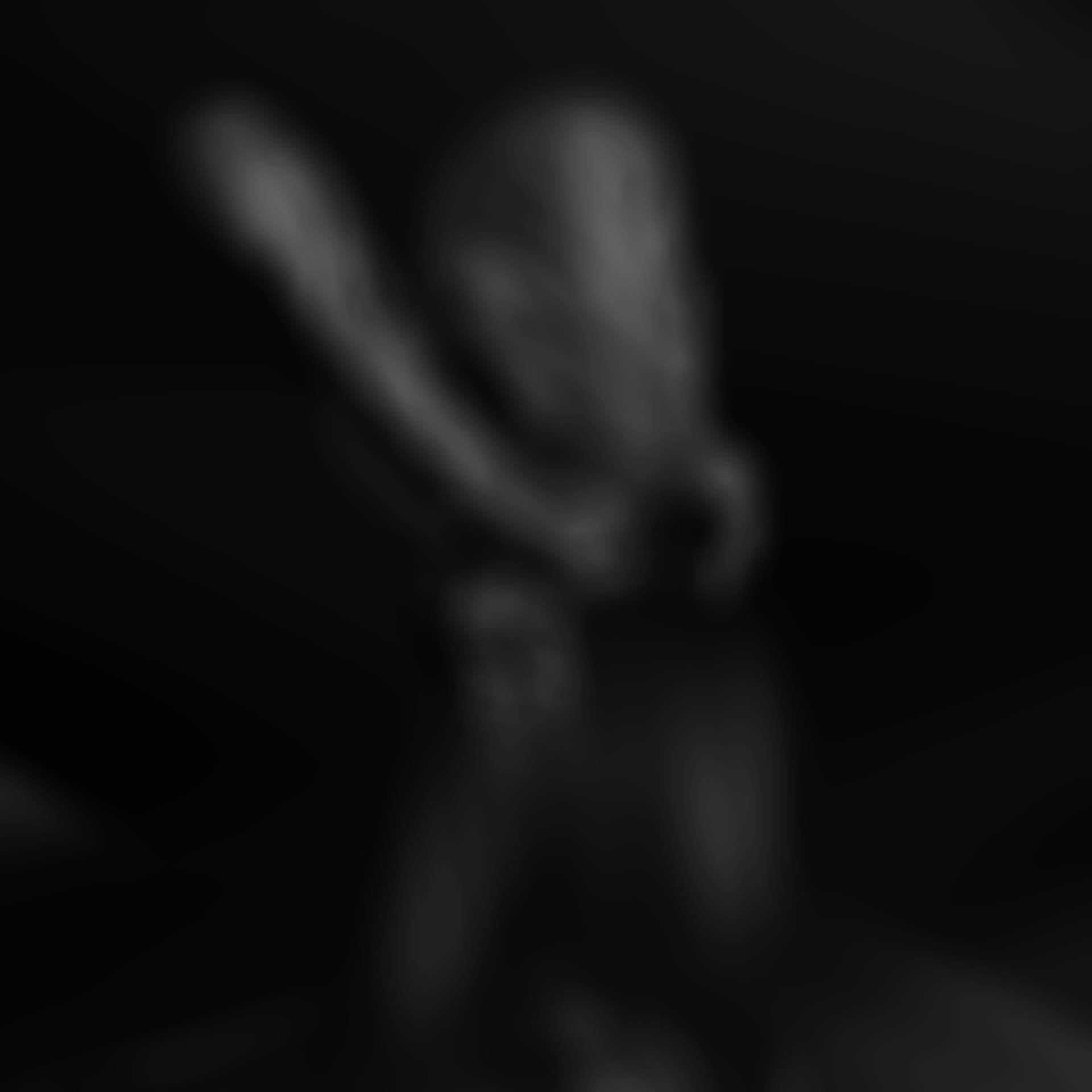 Close up of Spirit of Ecstasy 